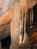 Filename=Aven_Orgnac_IMG_1177.jpg
Filesize=25KiB
Dimensions=300x400
Date added=Jun 11, 2006 Aven_Orgnac_IMG_1177.jpg