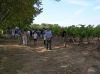 Filename=Roy_Sally_Vendanges_Venelles_DSCN0576.jpg
Filesize=29KiB
Dimensions=450x337
Date added=Jun 16, 2006 Roy_Sally_Vendanges_Venelles_DSCN0576.jpg