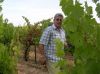 Filename=Roy_Sally_Vendanges_Venelles_DSCN0582.jpg
Filesize=29KiB
Dimensions=450x337
Date added=Jun 16, 2006 Roy_Sally_Vendanges_Venelles_DSCN0582.jpg
