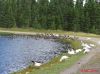 Filename=Canada_Zoo_St_Felicien_Aug_20_11_07_02_2004_IMG_0272.jpg
Filesize=32KiB
Dimensions=399x299
Date added=Jun 11, 2006 Canada_Zoo_St_Felicien_Aug_20_11_07_02_2004_IMG_0272.jpg