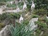 Filename=Macro_100-0068_IMG.jpg
Filesize=45KiB
Dimensions=450x338
Date added=Jun 16, 2006 Macro_100-0068_IMG.jpg