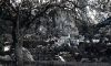 Filename=CASTELLANE_6.jpg
Filesize=38KiB
Dimensions=450x274
Date added=Jun 16, 2006 CASTELLANE_6.jpg