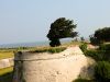 Filename=Saint_Martin_de_Re_2006-06-30_09-38-20_IMG_1736.jpg
Filesize=74KiB
Dimensions=600x450
Date added=May 08, 2011 Saint_Martin_de_Re_2006-06-30_09-38-20_IMG_1736.jpg