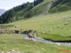 Filename=Lac_de_Lazanier_2004-07-24_10-09-25_IMG_0008.jpg
Filesize=32KiB
Dimensions=450x338
Date added=Jun 16, 2006 Lac_de_Lazanier_2004-07-24_10-09-25_IMG_0008.jpg