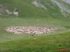 Filename=Lac_de_Lazanier_2004-07-24_15-47-02_IMG_0036.jpg
Filesize=24KiB
Dimensions=450x338
Date added=Jun 16, 2006 Lac_de_Lazanier_2004-07-24_15-47-02_IMG_0036.jpg