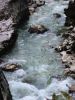 Filename=Le_Verdon_Sentier_Vidal_110-1094_IMG.jpg
Filesize=32KiB
Dimensions=338x450
Date added=Jun 16, 2006 Le_Verdon_Sentier_Vidal_110-1094_IMG.jpg