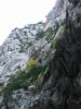 Filename=Le_Verdon_Sentier_Vidal_110-1099_IMG.jpg
Filesize=28KiB
Dimensions=338x450
Date added=Jun 16, 2006 Le_Verdon_Sentier_Vidal_110-1099_IMG.jpg