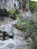 Filename=Le_Verdon_Sentier_Vidal_110-1100_IMG.jpg
Filesize=41KiB
Dimensions=338x450
Date added=Jun 16, 2006 Le_Verdon_Sentier_Vidal_110-1100_IMG.jpg