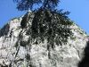 Filename=Le_Verdon_Sentier_Vidal_135-3534_IMG.jpg
Filesize=50KiB
Dimensions=450x338
Date added=Jun 16, 2006 Le_Verdon_Sentier_Vidal_135-3534_IMG.jpg