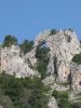 Filename=Capri_100-0098_IMG.jpg
Filesize=31KiB
Dimensions=263x350
Date added=Jun 11, 2006 Capri_100-0098_IMG.jpg