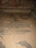 Filename=Herculanum_100-0057_IMG.jpg
Filesize=21KiB
Dimensions=263x350
Date added=Jun 11, 2006 Herculanum_100-0057_IMG.jpg