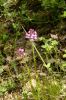 Filename=2014-05-17_14-26-46_DSC_3379.jpg
Filesize=149KiB
Dimensions=596x900
Date added=Jun 12, 2014 2014-05-17_14-26-46_DSC_3379.jpg