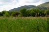 Filename=2014-05-17_15-40-02_DSC_3398.jpg
Filesize=146KiB
Dimensions=900x596
Date added=Jun 12, 2014 2014-05-17_15-40-02_DSC_3398.jpg