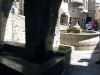 Filename=St_Paul_de_Vence_2006-05-21_14-45-47_IMG_1794.jpg
Filesize=44KiB
Dimensions=500x375
Date added=Jun 16, 2006 St_Paul_de_Vence_2006-05-21_14-45-47_IMG_1794.jpg