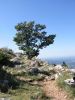 Filename=Saint_Victoire_110-1009_IMG.jpg
Filesize=34KiB
Dimensions=338x450
Date added=Jun 16, 2006 Saint_Victoire_110-1009_IMG.jpg