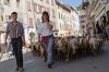 Filename=Transhumance_2011-06-19_11-17-01_DSC_0013.jpg
Filesize=86KiB
Dimensions=600x397
Date added=Jun 21, 2011 Transhumance_2011-06-19_11-17-01_DSC_0013.jpg