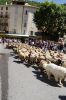 Filename=Transhumance_2011-06-19_11-19-03_DSC_0017.jpg
Filesize=81KiB
Dimensions=397x600
Date added=Jun 21, 2011 Transhumance_2011-06-19_11-19-03_DSC_0017.jpg