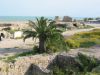 Filename=Carthage_120-2069_IMG.jpg
Filesize=32KiB
Dimensions=450x338
Date added=Jun 16, 2006 Carthage_120-2069_IMG.jpg