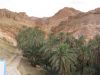 Filename=Chebika_Tamerza_Nefta_119-1952_IMG.jpg
Filesize=26KiB
Dimensions=450x338
Date added=Jun 16, 2006 Chebika_Tamerza_Nefta_119-1952_IMG.jpg