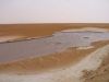 Filename=Chott_El_Jerid_118-1829_IMG.jpg
Filesize=13KiB
Dimensions=450x338
Date added=Jun 16, 2006 Chott_El_Jerid_118-1829_IMG.jpg