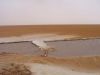 Filename=Chott_El_Jerid_118-1830_IMG.jpg
Filesize=12KiB
Dimensions=450x338
Date added=Jun 16, 2006 Chott_El_Jerid_118-1830_IMG.jpg
