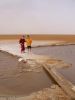 Filename=Chott_El_Jerid_118-1831_IMG.jpg
Filesize=15KiB
Dimensions=338x450
Date added=Jun 16, 2006 Chott_El_Jerid_118-1831_IMG.jpg