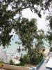 Filename=Sidi_Bou_Said_119-1936_IMG.jpg
Filesize=46KiB
Dimensions=338x450
Date added=Jun 16, 2006 Sidi_Bou_Said_119-1936_IMG.jpg