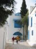 Filename=Sidi_Bou_Said_120-2058_IMG.jpg
Filesize=25KiB
Dimensions=338x450
Date added=Jun 16, 2006 Sidi_Bou_Said_120-2058_IMG.jpg